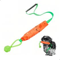 Brinquedo Interativo de Corda para Cachorros com Cabo de Guerra Em Formato de Personagem Colorido Momovida DT19