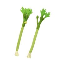 Brinquedo Interativo Para Gato Com Sino Bastão Molar De Catnip Para Limpeza Dos Dentes Do Gato