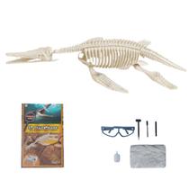 Brinquedo Kit de Escavação Fóssil Dinossauro Arqueologia Jurassic Paleontologia