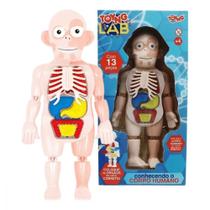 Brinquedo Kit Medico Corpo Humano Boneco 24cm - Toyng 42580