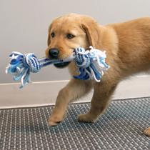 Brinquedo Kong Corda Rope Stick Puppy Azul