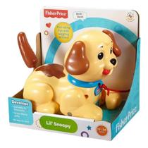 Brinquedo Meu Primeiro Cãozinho - Fisher-Price - H9447 Brinquedo Meu Primeiro Cãozinho - Fisher-Price - H9447