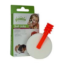 Brinquedo Mineral Pawise para Roedor c/ Suporte Gaiola Saúde Bucal e Fixação na Gaiola Brinquedo Mineral Pawise para Roedor c/ Suporte Gaiola Saúde Bucal e Fixação na Gaiola