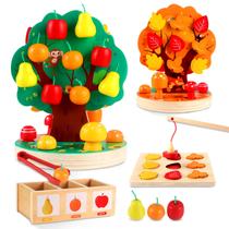 Brinquedo Montessori INIFEIDALA Apple Colhendo Árvore Magnética de 3 a 6 anos Brinquedo Montessori INIFEIDALA Apple Colhendo Árvore Magnética de 3 a 6 anos