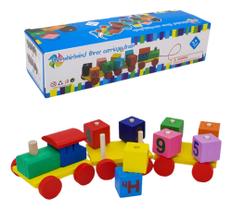 Brinquedo Montessori Para Autista 2 Anos 3 Anos 4 Anos 5 Anos - Perfect Ecommerce