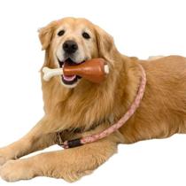 Brinquedo Mordedor Cachorro Presunto e Coxa de Frango com Aroma Brinquedo Mordedor Cachorro Presunto e Coxa de Frango com Aroma