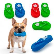 Brinquedo Mordedor Chinelo Hawai Pet Interativo para Cães Bom Amigo
