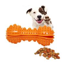 Brinquedo Mordedor Osso Porta Petisco Snack Cachorro Exercita e Diverte Estimulador Anti Stress Wesn