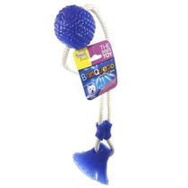 Brinquedo Mordedor para Cachorro Bola Com Ventosa e corda Funciona Como Cabo de Guerra The Pets Brasil