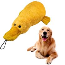 Brinquedo Mordedor Pelúcia Para Cachorro Pato Big Duck Com Apito Jambo Pet