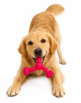 Brinquedo Mordedor Rokka Grande Pink Pet Cachorro Stark Pet Brinquedo Mordedor Rokka Grande Pink Pet Cachorro Stark Pet