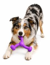 Brinquedo Mordedor Rokka Grande Roxo Pet Cachorro Stark Pet Brinquedo Mordedor Rokka Grande Roxo Pet Cachorro Stark Pet