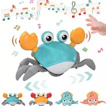 Brinquedo P Criança Se Divertir Caranguejo Aventura Na Praia Brinquedo P Criança Se Divertir Caranguejo Aventura Na Praia