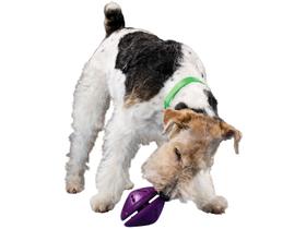 Brinquedo para Cachorro de Borracha Busy Buddy Twist N Treat PetSafe