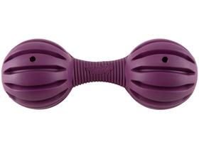 Brinquedo para Cachorro Osso de Borracha Busy Buddy Waggle PetSafe