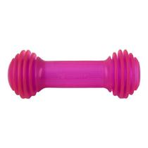 Brinquedo para Cachorro Pet Ossinho Mordedor Espacial Porta Petisco