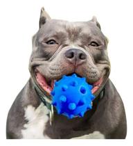 Brinquedo Para Cães Cachorros Grandes Bola Bolinha Cravo Grande Maciça Extra Forte Resistente - 80 mm Brinquedo Para Cães Cachorros Grandes Bola Bolinha Cravo Grande Maciça Extra Forte Resistente - 80 mm