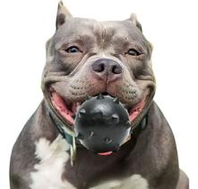 Brinquedo Para Cães Cachorros Grandes Bola Bolinha Cravo Grande Maciça Extra Forte Resistente - 80 mm Brinquedo Para Cães Cachorros Grandes Bola Bolinha Cravo Grande Maciça Extra Forte Resistente - 80 mm
