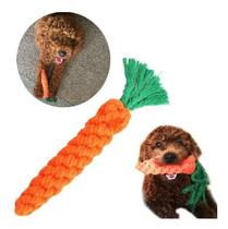 Brinquedo Para Cães Filhotes Adultos Cenoura Corda Algodão