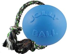 Brinquedo para cães Jolly Pets Romp-n-Roll Rope and Ball Blueberry