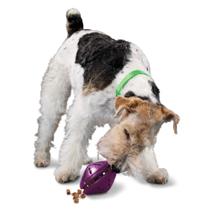Brinquedo para cães PetSafe Busy Buddy Twist 'n Treat Dispenser roxo