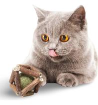 Brinquedo para Gatos Catnip e Matatabi Erva Varinha Gatos - Bola Madeira e Catnip