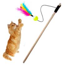 Brinquedo Para Gatos Varinha C/ Bolinha Interativa e Pena