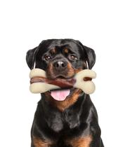 Brinquedo para mastigar cães Tikaton Durable Dentition Bone para mastigadores agressivos Brinquedo para mastigar cães Tikaton Durable Dentition Bone para mastigadores agressivos
