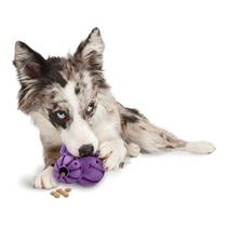 Brinquedo para mastigar para cães PetSafe Busy Buddy Barnacle Treat Dispensing