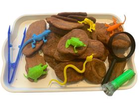 Brinquedo Pedagógico Sensorial Explorar Repteis Montessori - Pepittos Para Brincar