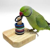 Brinquedo Pega Argolas para Calopsita Papagaio Ring Neck Periquito e outras aves Pets