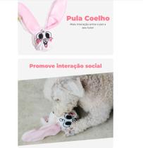 Brinquedo pelucia c/ bola coelho cães tam m petiko Brinquedo pelucia c/ bola coelho cães tam m petiko