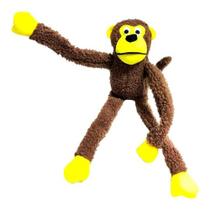 Brinquedo Pelúcia Macaco C/apito Para Cachorro Cães Pet - estrela pet
