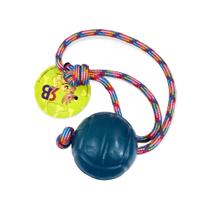 Brinquedo Pet Bola Agility Cristal Lisa 75mm Com Corda