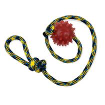 Brinquedo Pet Bola Agility Cristal Mamona 45mm Com Corda