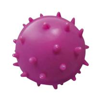 Brinquedo Pet Bola Maciça Mamona Tamanho 55Mm Para Cães