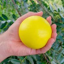 Brinquedo Pet Bola Para Cachorro Grande E Médio Anti Stress