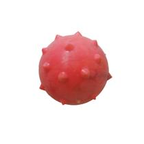 Brinquedo Pet Bolinha Maciça Cravo 55mm Brinquedo Pet Bolinha Maciça Cravo 55mm