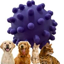 Brinquedo Pet De Vinil Com Apito Escolha o Modelo Cão Gato Brinquedo Pet De Vinil Com Apito Escolha o Modelo Cão Gato