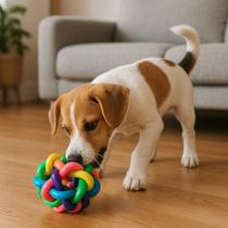 Brinquedo Pet Mordedor Osso Bola Trançado Cachorro Gatos Colorido Interativo Arremessar Brinquedo Pet Mordedor Osso Bola Trançado Cachorro Gatos Colorido Interativo Arremessar
