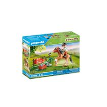 Brinquedo Playmobil Country Ponei Connemara Sunny 70516