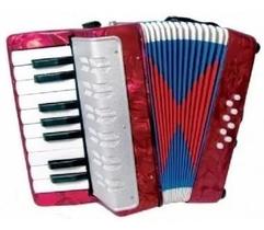 Brinquedo Sanfona Acordeon Gaita Infantil 8 Baixos