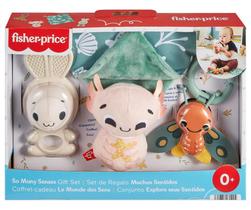 Brinquedo sensorial para bebês Fisher-Price 4 peças - Mattel