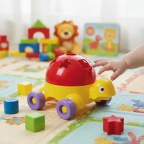 Brinquedo Tartaruga Didática Turtle Didactive Educativo Baby Pica Pau Brinquedos