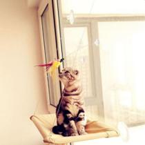 Brinquedo Varinha com Ventosa e Pena Artificial para Gatos - Azul