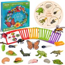 Brinquedos educativos de aprendizagem do ciclo de vida JoyCat com animais insetos