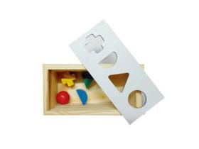 Brinquedos Educativos - Passa Peça 4 Unidades Brinquedos Educativos - Passa Peça 4 Unidades
