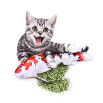 Brinquedos Norvy Silvervine para Gatos e Peixes - Catnip e Cat Chew Toys