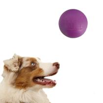 Brinquedos Para Cachorro Bola Para Cachorro Raça Grande 80mm Maciça Pet Shop Vendas