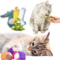 Brinquedos para Gatos com Catnip Kit com Bola Sisal/ Abacate / Pelúcia